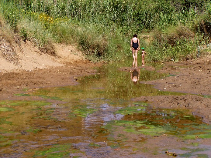 I fossi e lo stagno di Baratti (Piombino - LI)